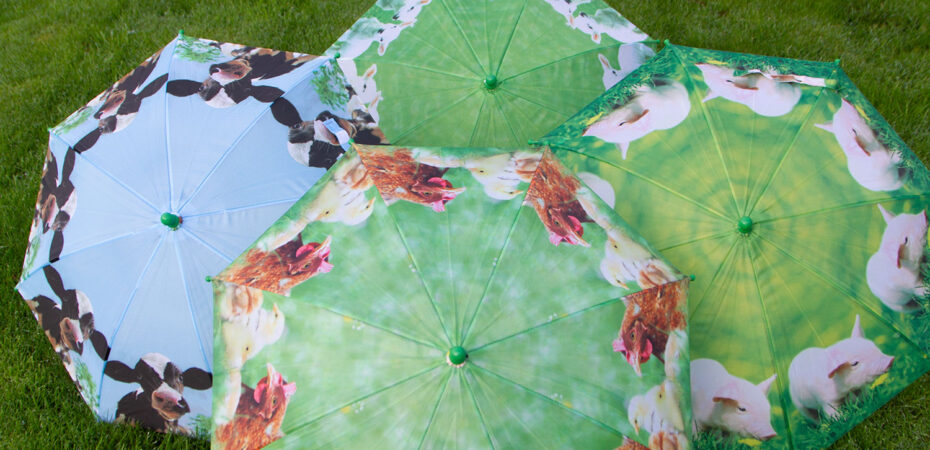 Unique and interesting umbrellas sold by The Sign Maker.