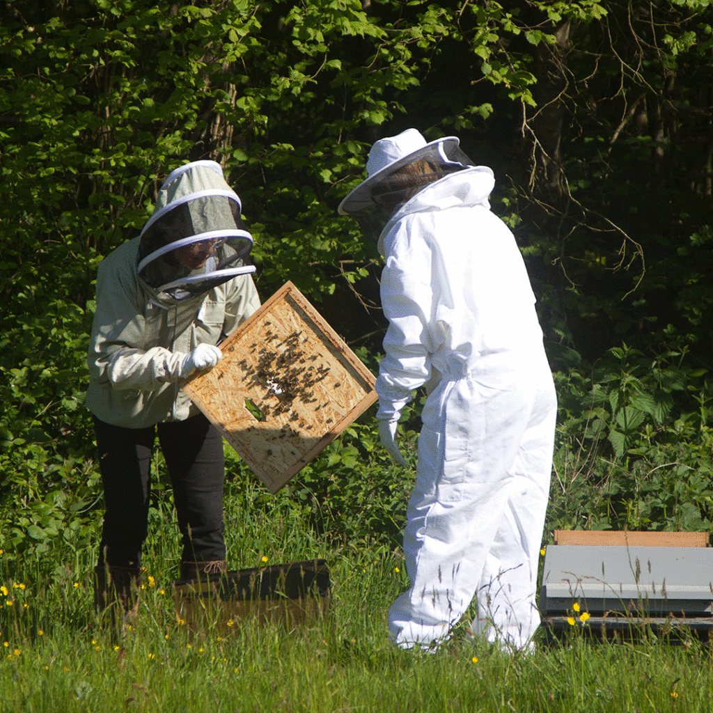 How to help nature this summer.